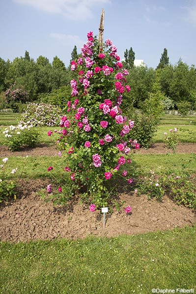 Wrams Gunnarstorp