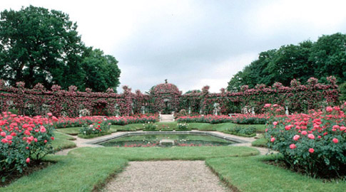 formal Rose Garden at Roseraie de l'Haÿ